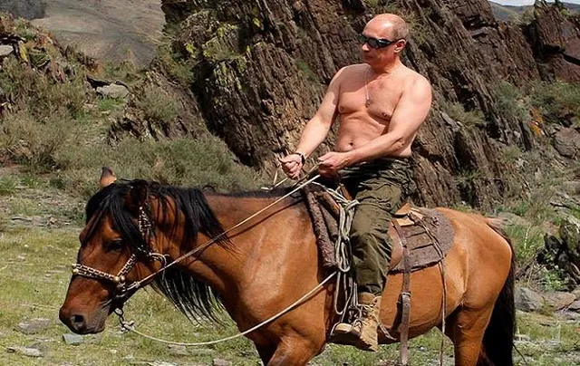 Путін з голим торсом на коні Путін з голим торсом на коні