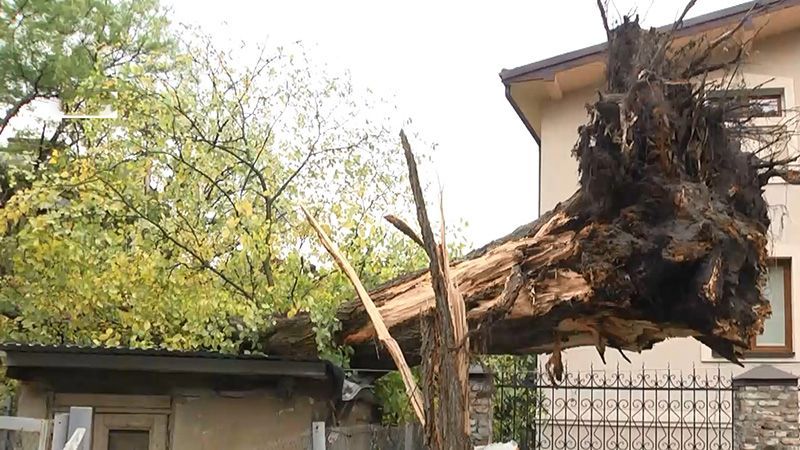 Впечатляющие последствия урагана в Западной Украине Впечатляющие последствия урагана в Западной Украине
