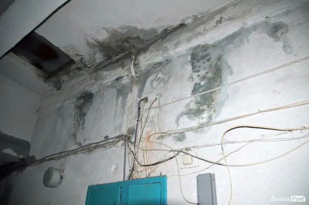 У Луцьку затопило багатоповерхівку У Луцьку затопило багатоповерхівку