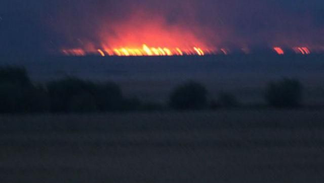 Національний заповідник загорівся на Одещині: рідкісні тварини під загрозою Національний заповідник загорівся на Одещині: рідкісні тварини під загрозою