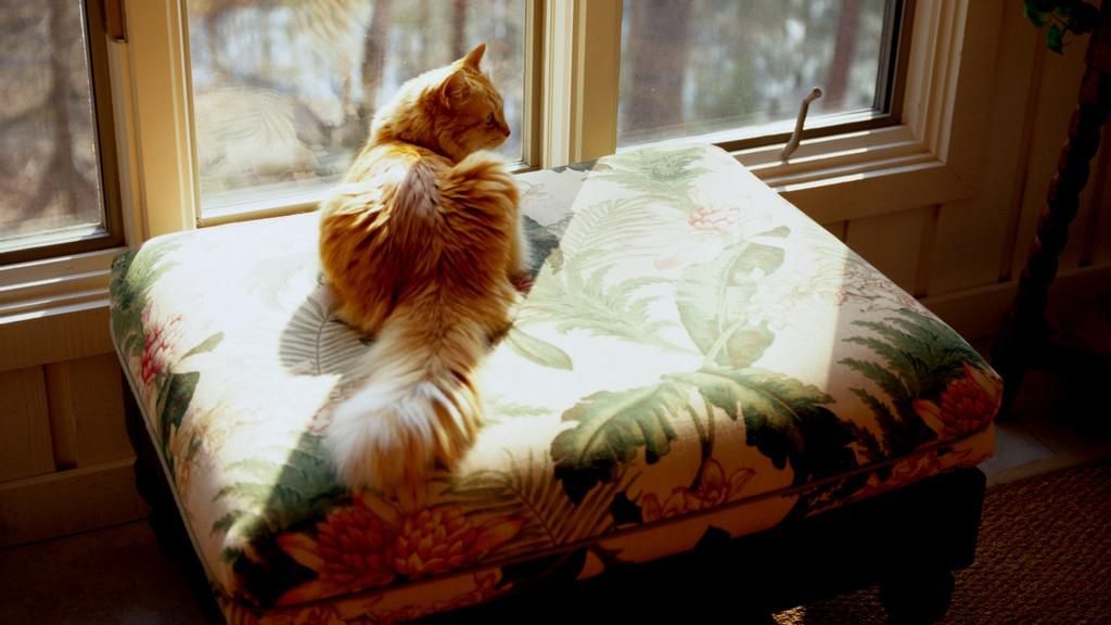 Кличко сповістив, коли у Києві включать опалення Кличко сповістив, коли у Києві включать опалення