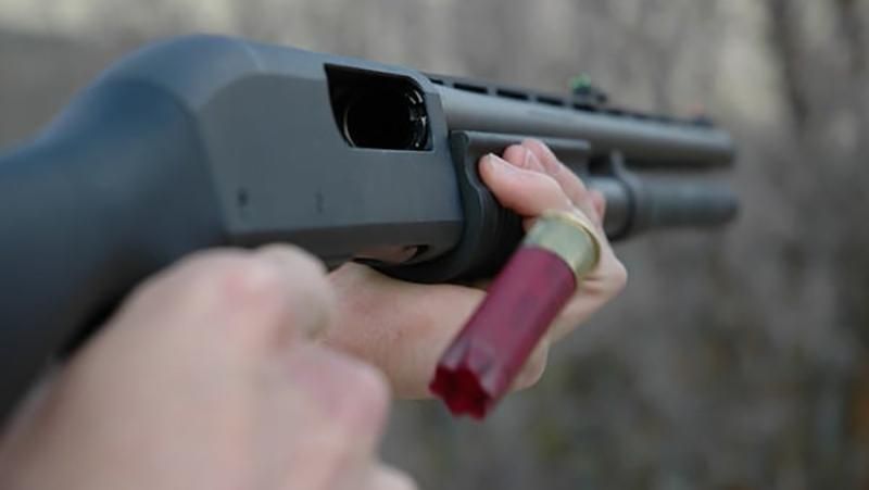 Чоловіки почали розстріл з рушниці на Буковині: є жертви Чоловіки почали розстріл з рушниці на Буковині: є жертви