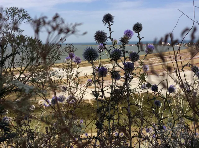 Будацький лиман відділений від моря піщаною косою Будацький лиман відділений від моря піщаною косою