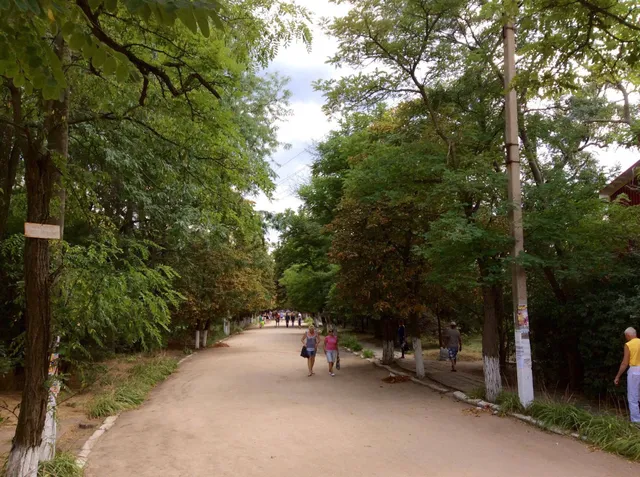 Каштанова алея у селі Курортне Каштанова алея у селі Курортне