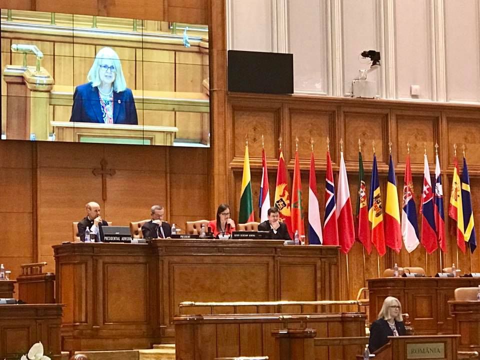 Подготовка к вступлению Украины в НАТО: принята резолюция Подготовка к вступлению Украины в НАТО: принята резолюция