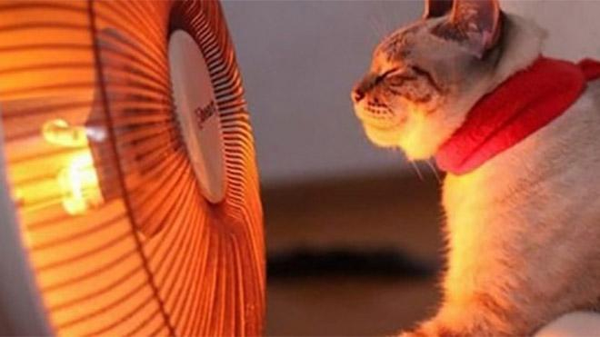 Отопительный сезон: Зубко рассказал о перспективе сокращения потребления газа вдвое