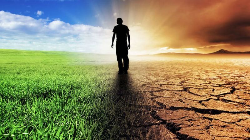 Глобальное потепление в действии: украинский климат превращается в смесь пустыни и тропиков Глобальное потепление в действии: украинский климат превращается в смесь пустыни и тропиков