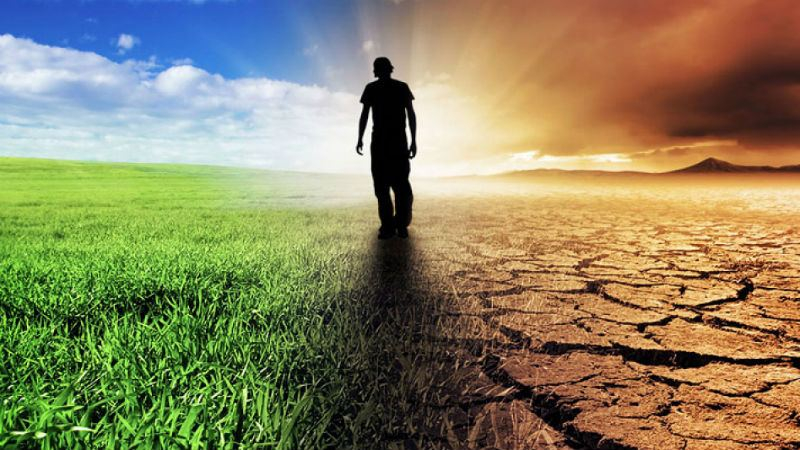 Глобальное потепление в действии: украинский климат превращается в смесь пустыни и тропиков Глобальное потепление в действии: украинский климат превращается в смесь пустыни и тропиков