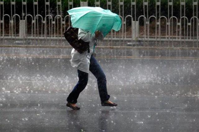 Киевлян предупредили о сильном ветре