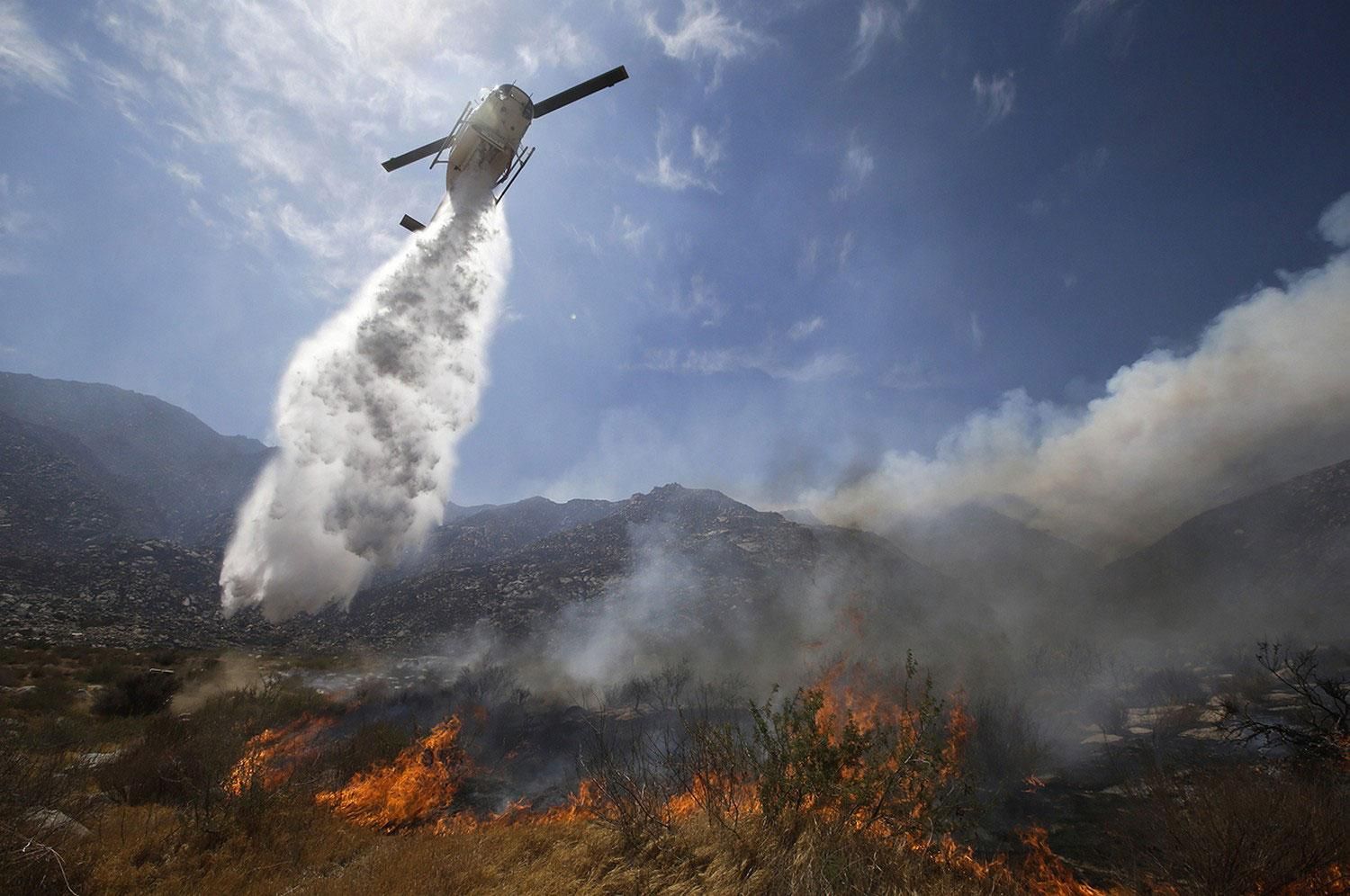 Масштабні лісові пожежі у Каліфорнії: науковець назвав причини