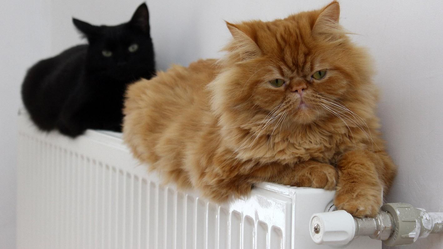 Отопительный сезон 2017 в Украине стартует в Житомире и Ровно Отопительный сезон 2017 в Украине стартует в Житомире и Ровно