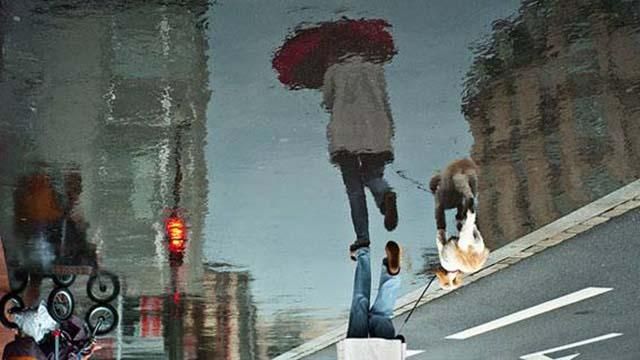 Погода 13 октября в Украине: дожди и штормовой ветер Погода 13 октября в Украине: дожди и штормовой ветер