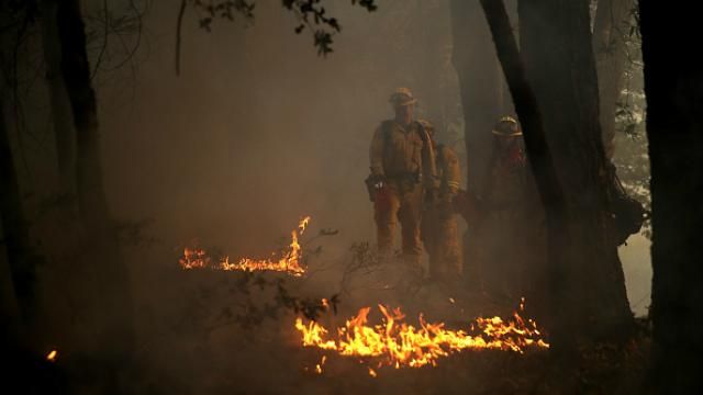 Возросло количество жертв в результате масштабных лесных пожаров в Калифорнии