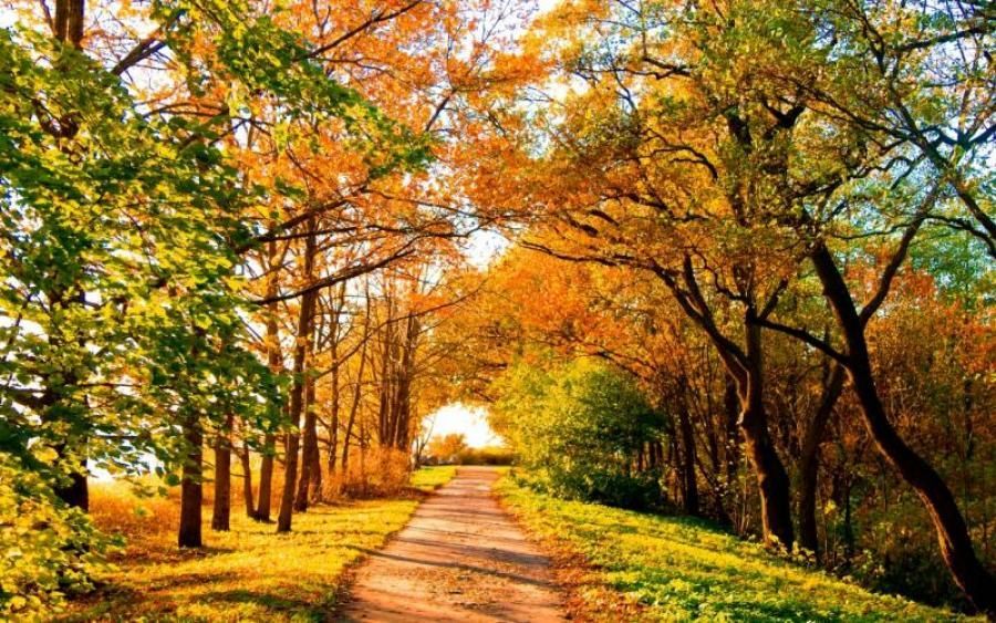 Погода на 16 жовтня в Україні від синоптиків Погода на 16 жовтня в Україні від синоптиків