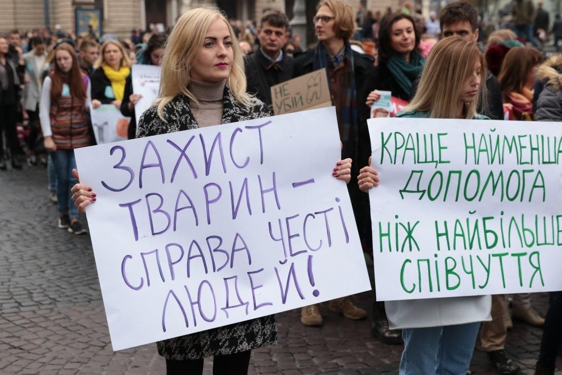 Новости Украины за 15 октября: новости Украины и мира Новости Украины за 15 октября: новости Украины и мира