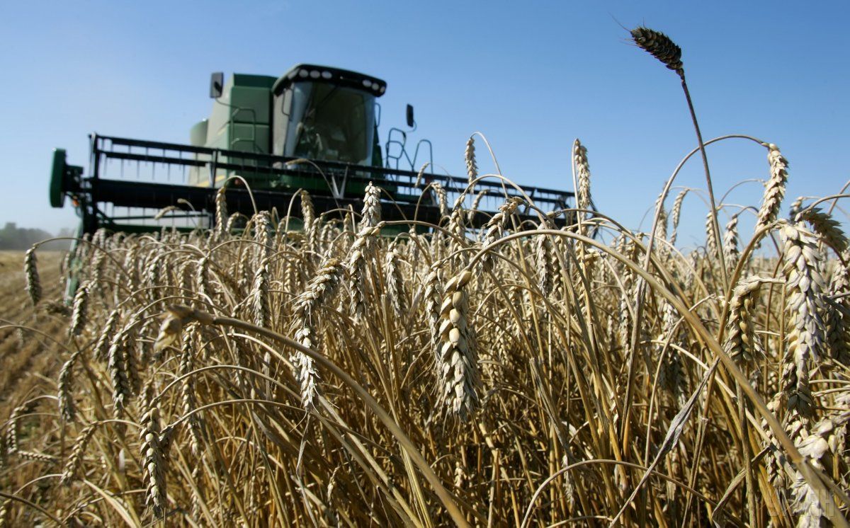 Як реформували Міністерство агрополітики Як реформували Міністерство агрополітики