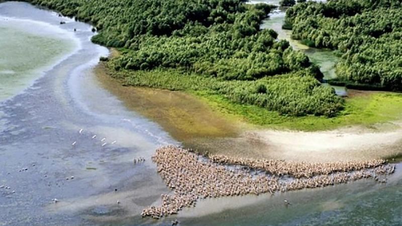 Україна – єдина держава в Європі, територія якої щороку збільшується Україна – єдина держава в Європі, територія якої щороку збільшується