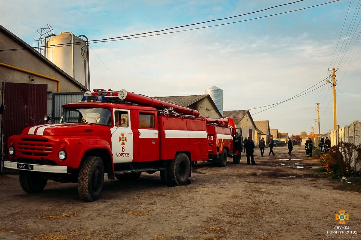 Майже 29 тисяч курчат загинуло внаслідок пожежі на птахофермі на Тернопільщині