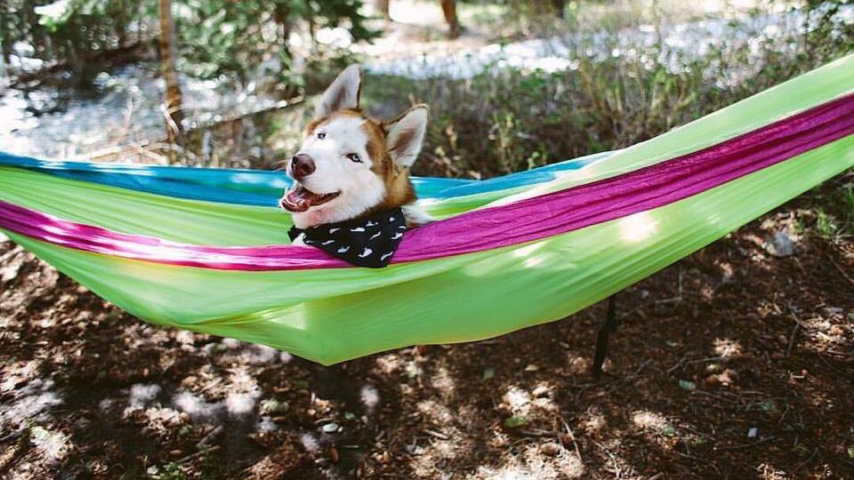 Погода на 17 жовтня в Україні від синоптиків Погода на 17 жовтня в Україні від синоптиків