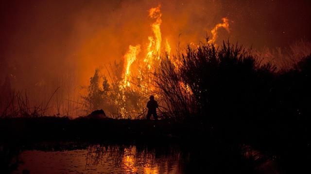 Пожежі в Іспанії та Португалії забрали життя понад 30 осіб