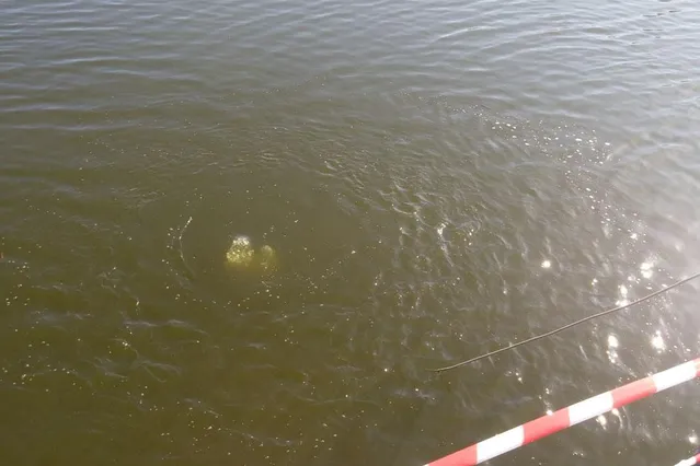 З річки на Хмельниччині витягнули мікроавтобус З річки на Хмельниччині витягнули мікроавтобус