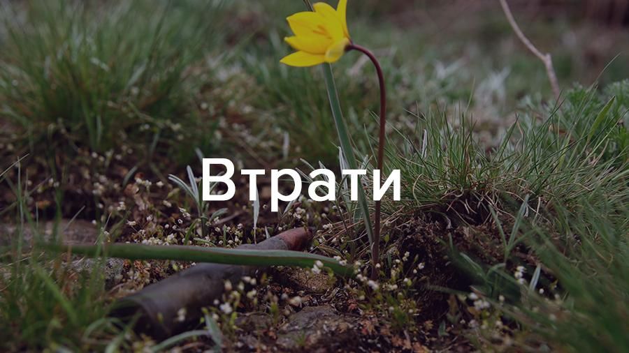 Обострение ситуации на Донбассе: Украина понесла тяжелые потери Обострение ситуации на Донбассе: Украина понесла тяжелые потери