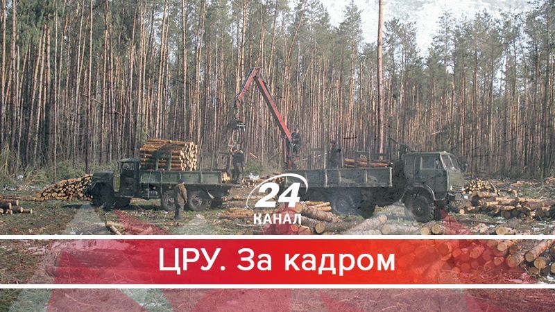 Що насправді коїться в українських лісгоспах: вражаюче розслідування - 17 октября 2017 - Телеканал новин 24 Що насправді коїться в українських лісгоспах: вражаюче розслідування - 17 октября 2017 - Телеканал новин 24
