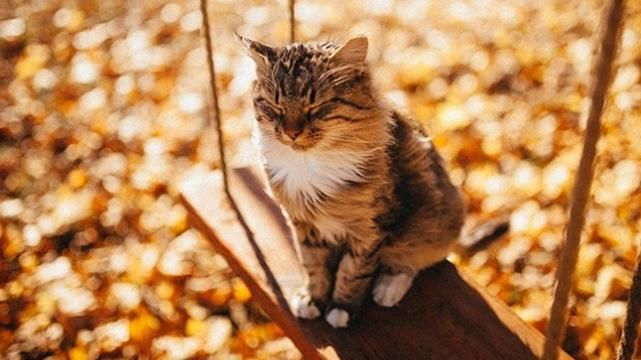 Погода 18 жовтня в Україні від синоптиків Погода 18 жовтня в Україні від синоптиків