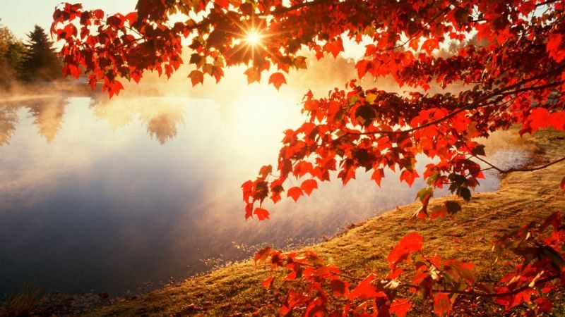 Прогноз погоди 19 жовтня в Україні - похолодання Прогноз погоди 19 жовтня в Україні - похолодання