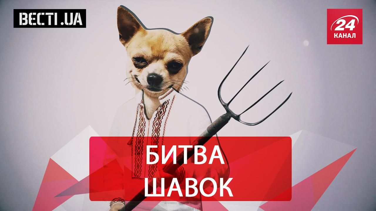 Вєсті.UA. Собачі бої в Раді. Що Спільного в Добкіна і Саші Грей