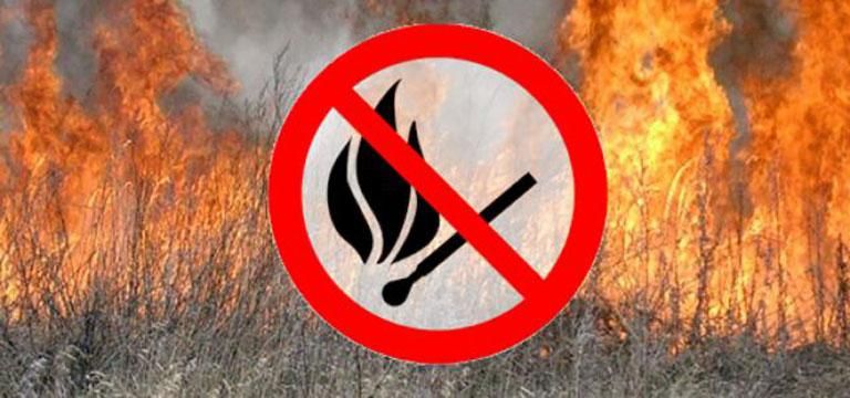 Міністр екології закликав українців не спалювати сухе листя