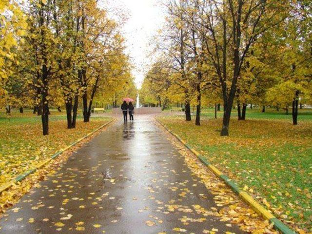 Погода 21 октября в Украине: в Украине заканчивается теплая осень и начинаются дожди