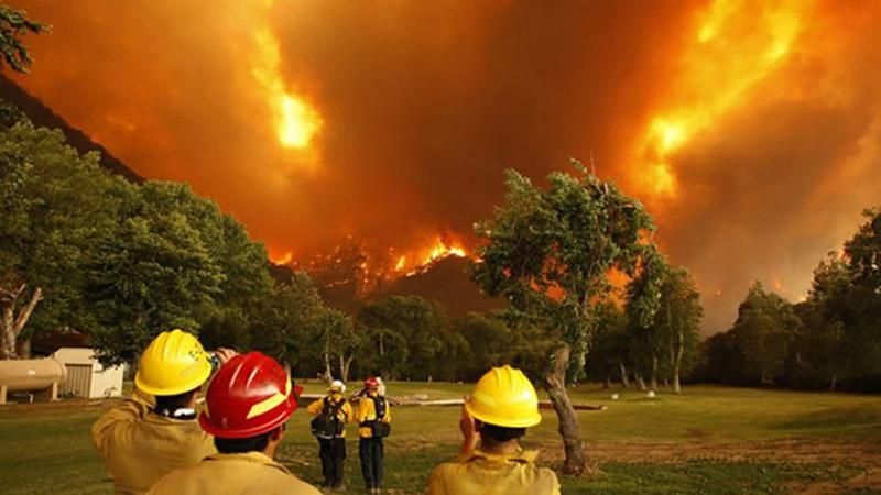 Лесные пожары в Калифорнии: обнародовали сумму ущерба