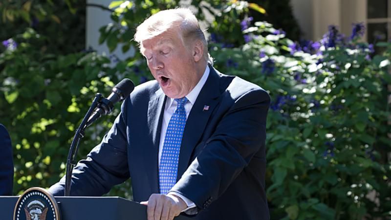 Картину авторства Трампа продали за чималеньку суму Картину авторства Трампа продали за чималеньку суму