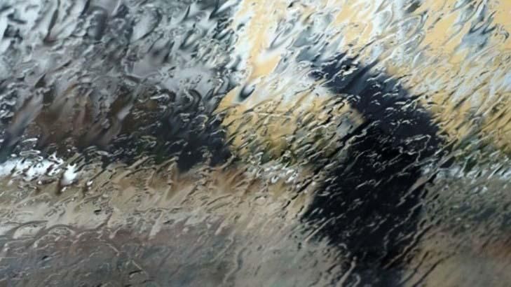 Кілька областей Заходу потерпатимуть від зливових дощів та ураганного вітру Кілька областей Заходу потерпатимуть від зливових дощів та ураганного вітру