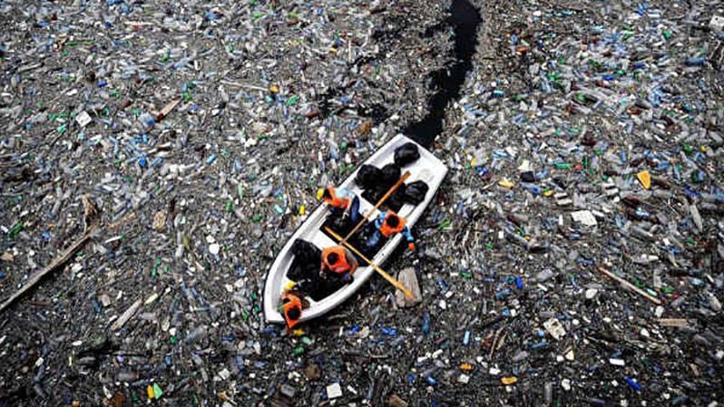 Кількість сміття у Світовому океані: шокуючі цифри