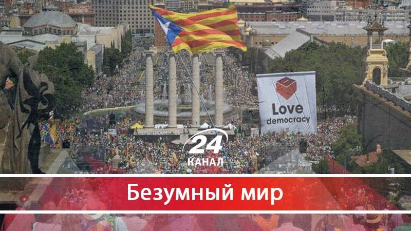 Популизм и сепаратизм как последний "писк" политической моды
- 24 жовтня 2017 - Телеканал новин 24 Популизм и сепаратизм как последний "писк" политической моды
- 24 жовтня 2017 - Телеканал новин 24