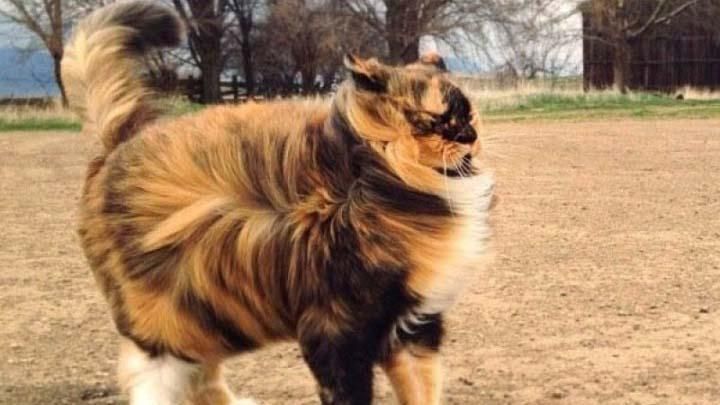 В шести областях Украины объявлено штормовое предупреждение В шести областях Украины объявлено штормовое предупреждение