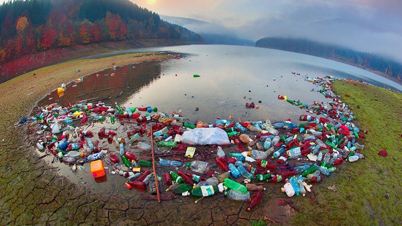 Фотограф шокував кадрами засмічених Карпат: фото