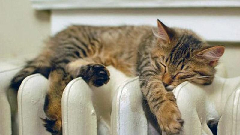 Как повлияют критически низкие запасы угля на отопительный сезон в Украине Как повлияют критически низкие запасы угля на отопительный сезон в Украине