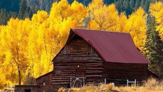 Погода на 26 октября в Украие потепление и дожди Погода на 26 октября в Украие потепление и дожди