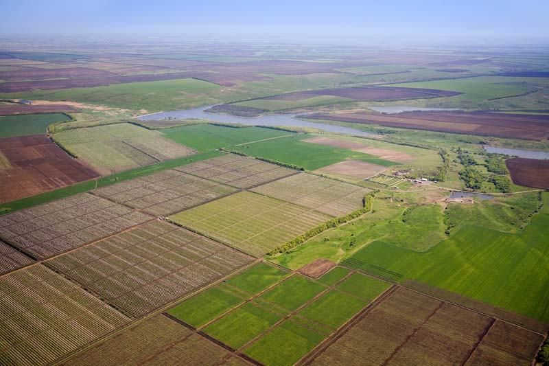 Як в Україні наживаються на землі