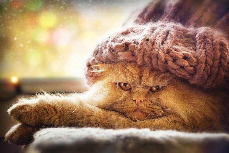 Де сьогодні очікувати ожеледицю і мокрий сніг: перелік областей Де сьогодні очікувати ожеледицю і мокрий сніг: перелік областей