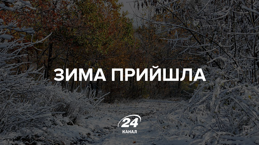 Первый снег в Киеве, Сумах и Чернигове - видео и фото Первый снег в Киеве, Сумах и Чернигове - видео и фото