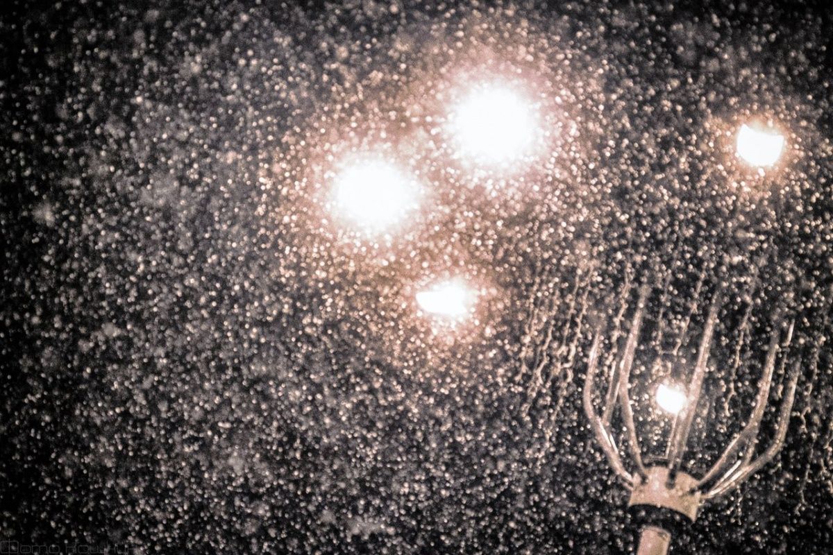 В Донецке выпал первый снег: фото В Донецке выпал первый снег: фото