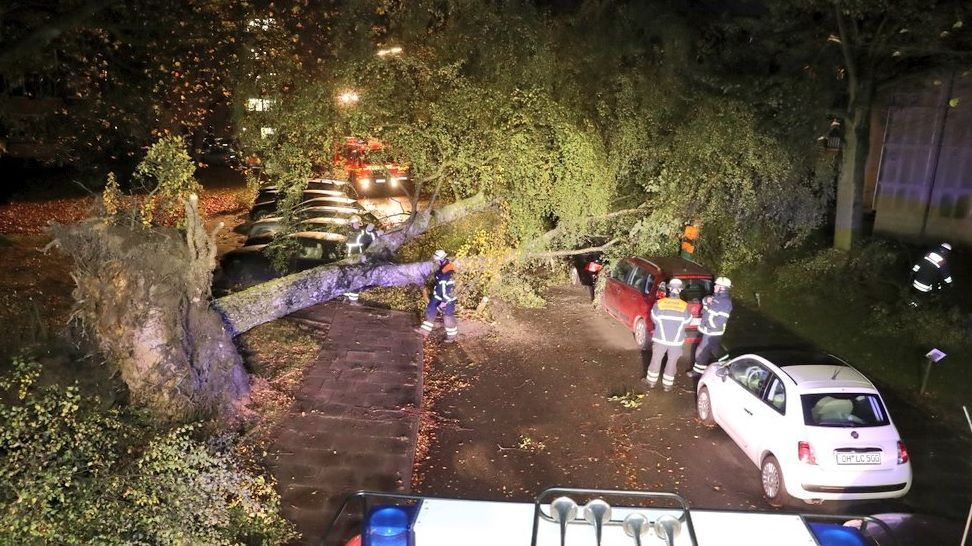 Новини України на 29 жовтня: новини України і світу Новини України на 29 жовтня: новини України і світу