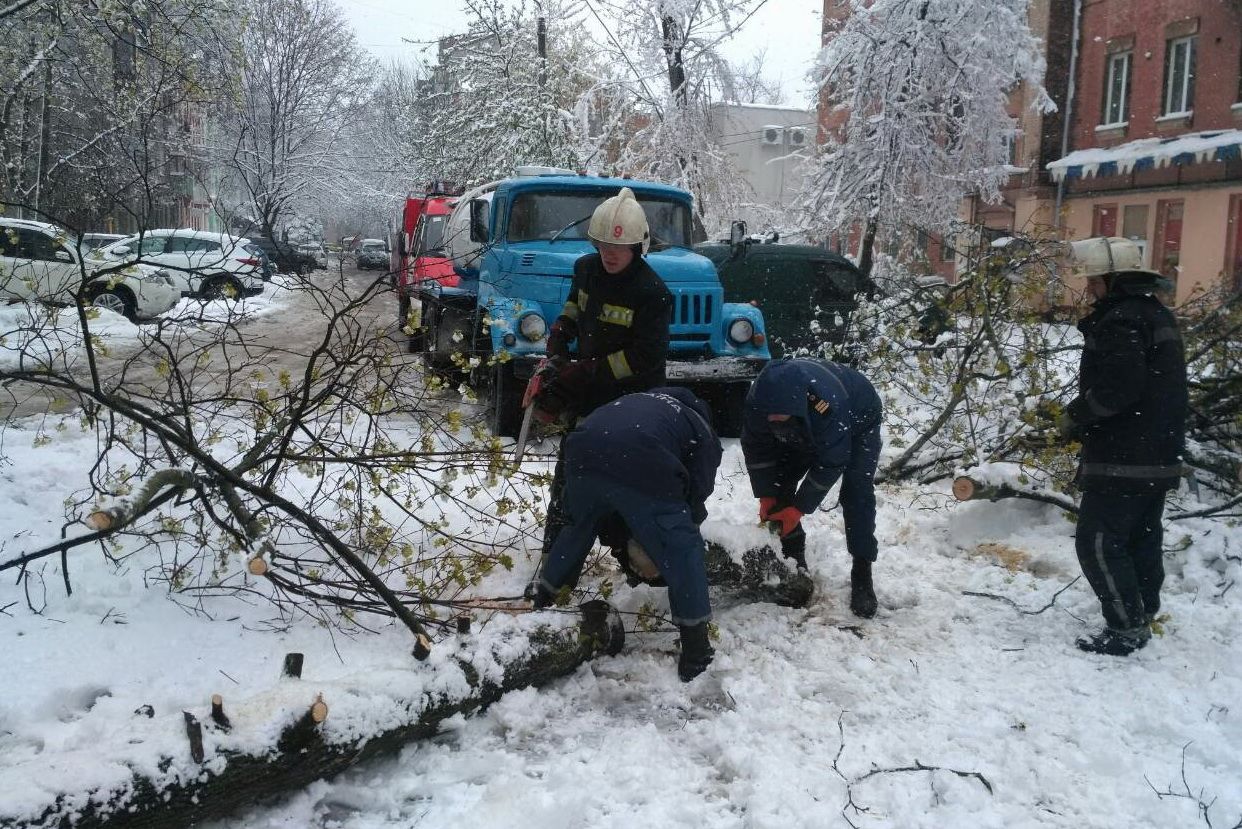 Негода атакувала Закарпаття: сніг, повалені дерева та знеструмлення міст і сіл