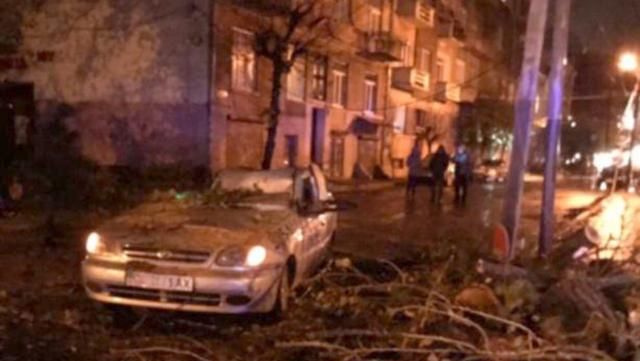 Непогода повалила дерево на переполненное такси в Черновцах: появились фото