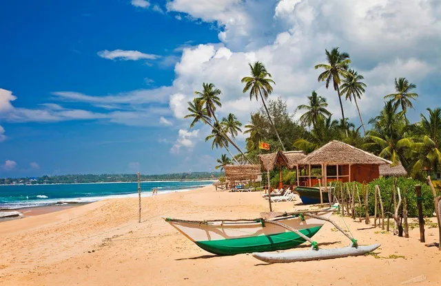 Шрі-Ланка: як самостійно організувати незабутню мандрівку в райський куточок
