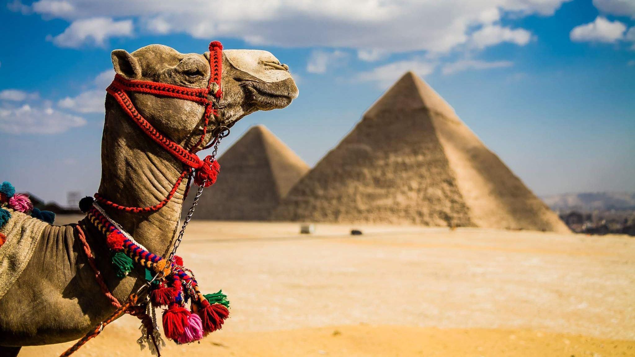 МИД Украины не рекомендует посещать популярную среди украинских туристическую страну МИД Украины не рекомендует посещать популярную среди украинских туристическую страну